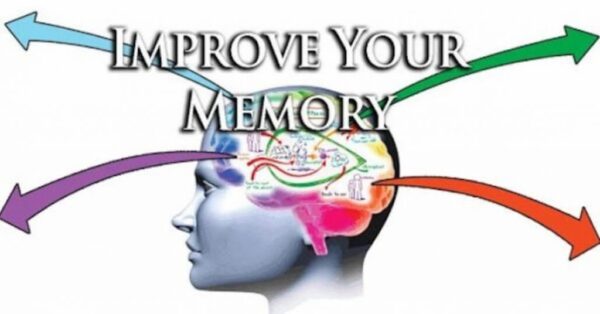 Techniques To Improve Your Memory